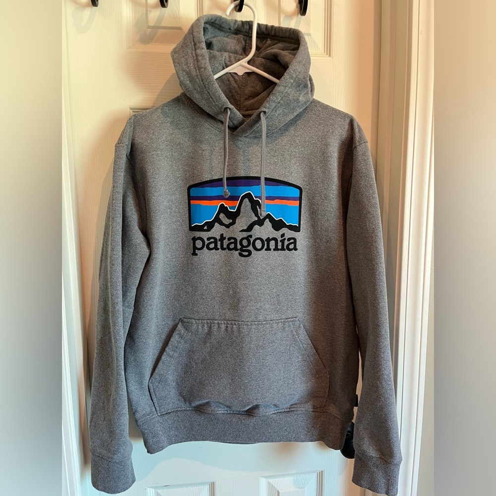 Patagonia Hoodie - Medium - NWOT